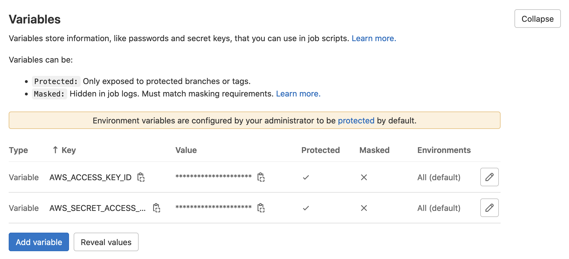 Variables section in Gitlab